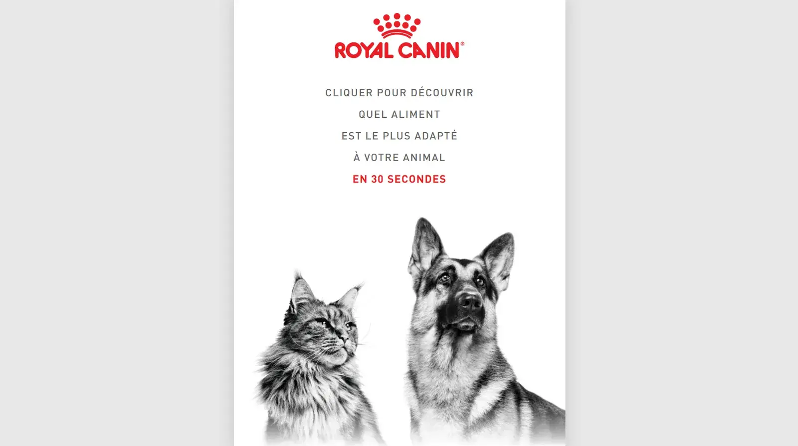 Guide de recommandation de produits pour animaux